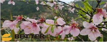 安徽百特新材料公司風(fēng)景