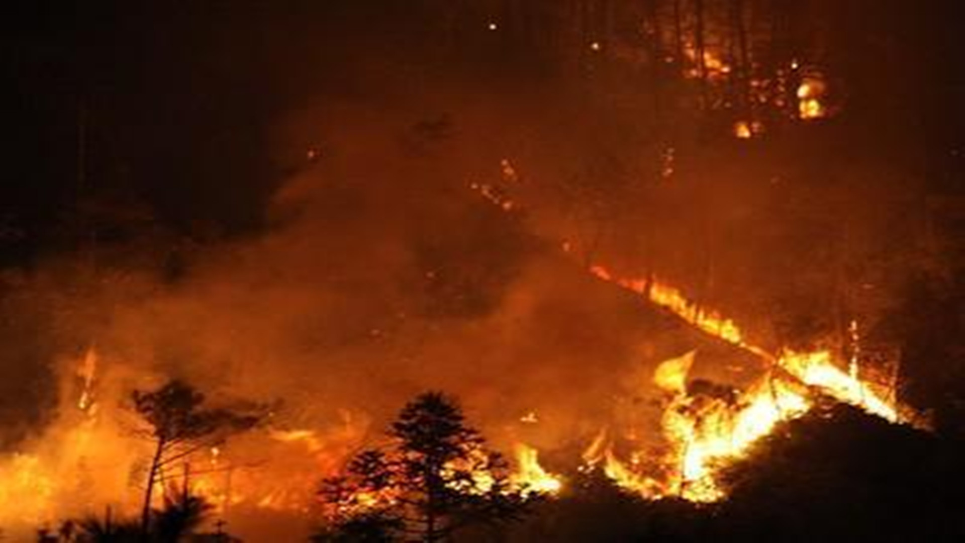 不推廣真空絕熱板不行！
