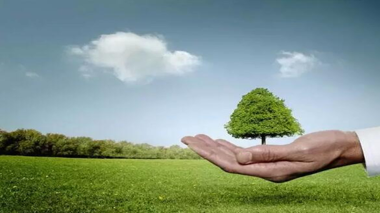 綠色建筑節(jié)能材料發(fā)展趨勢探析