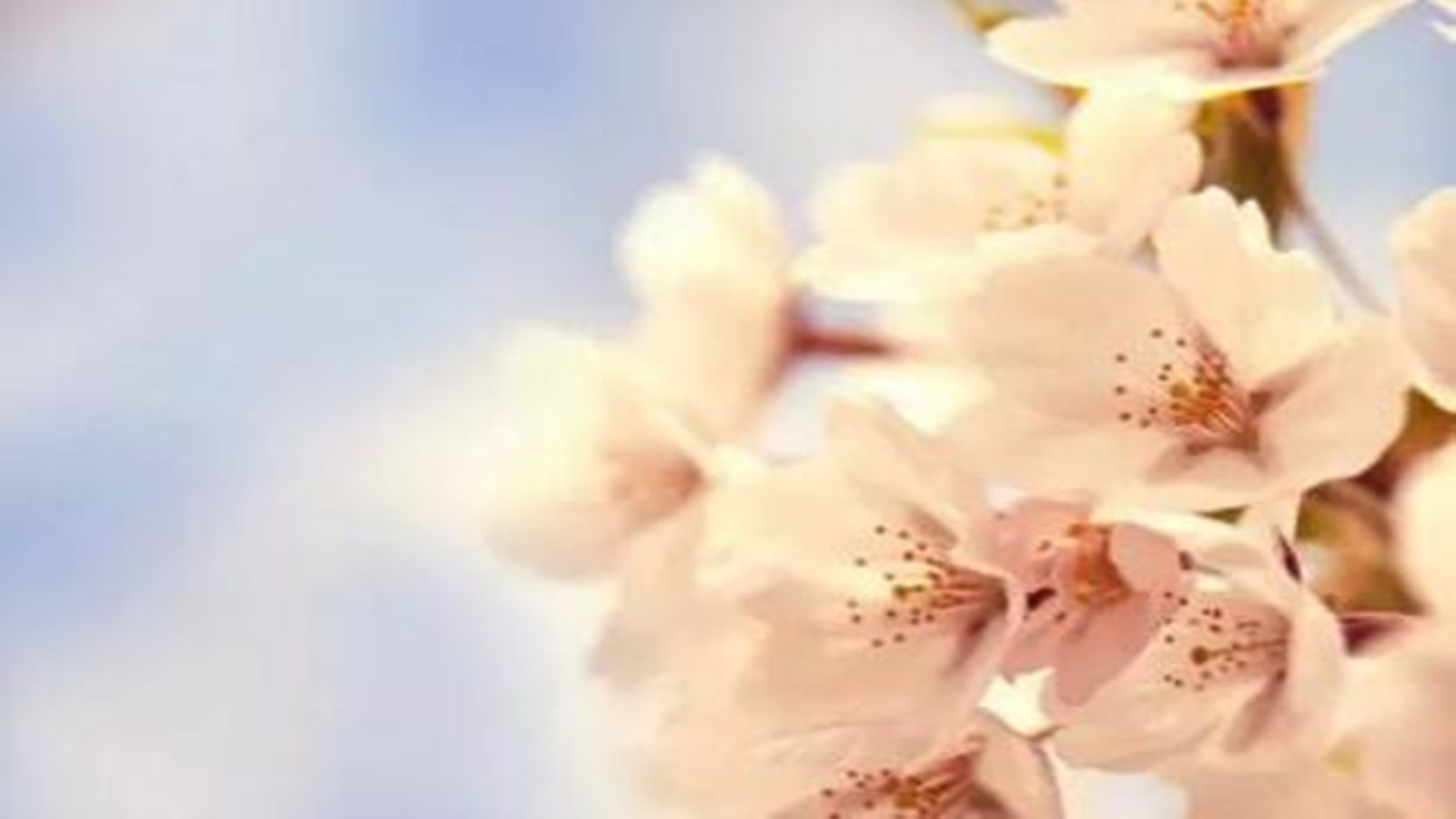 保溫材料行業(yè)蓬勃發(fā)展就在2018年