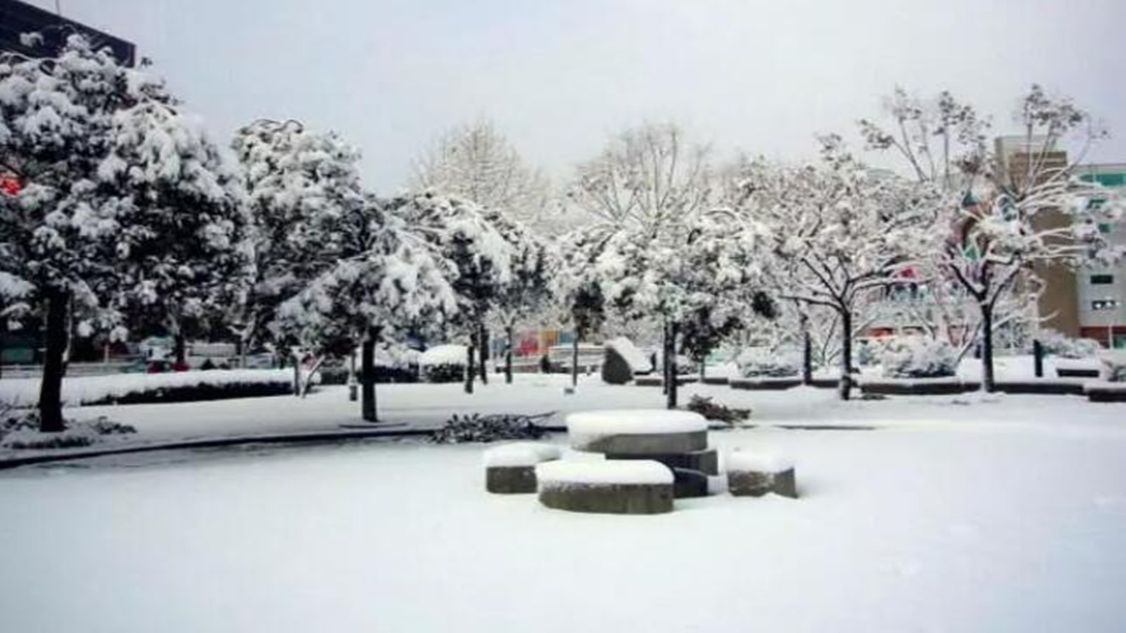 你的溫暖百特來保證！