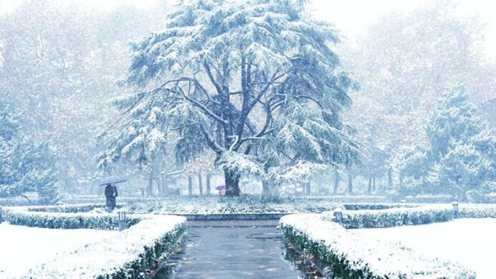 選百特締造溫暖、舒適的居家環(huán)境