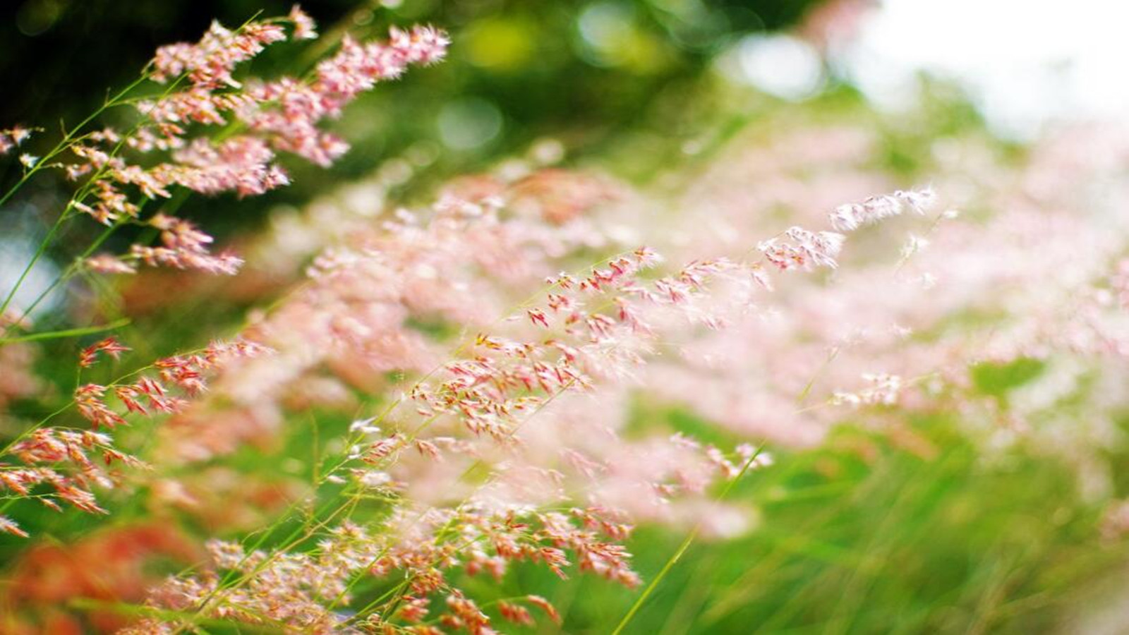 未來5年中國綠色建筑行業(yè)面積預(yù)測分析