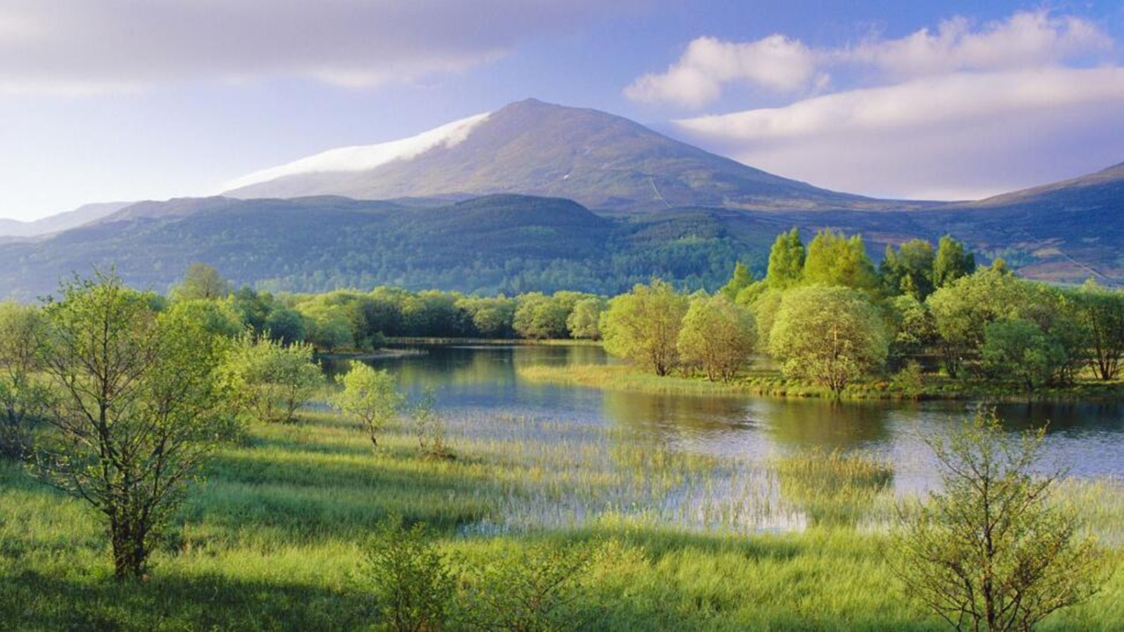 綠色發(fā)展和低碳經(jīng)濟(jì)轉(zhuǎn)型將為經(jīng)濟(jì)發(fā)展提供新動力