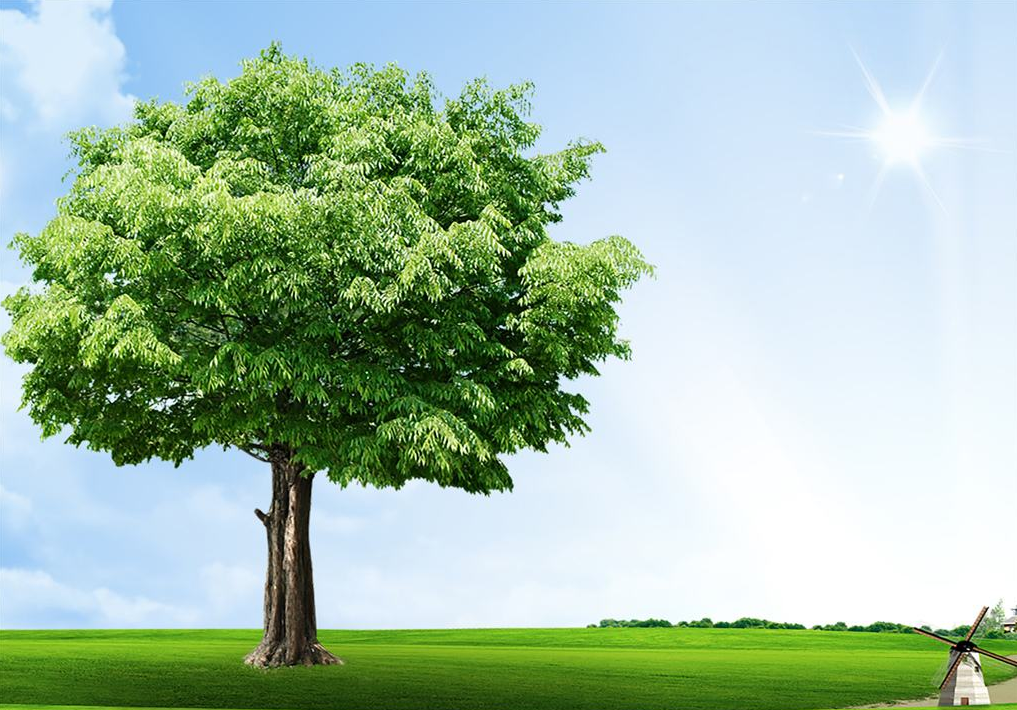 應(yīng)對氣候變化 “綠色建筑”促減排